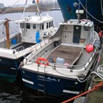Blue Marlin I