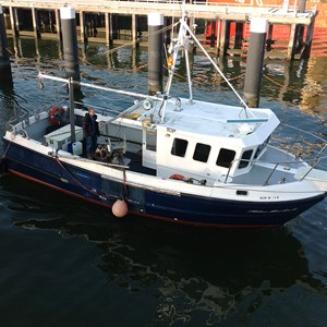 Blue Marlin II