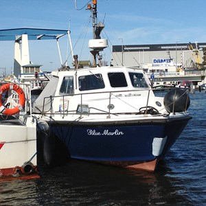 Blue Marlin I