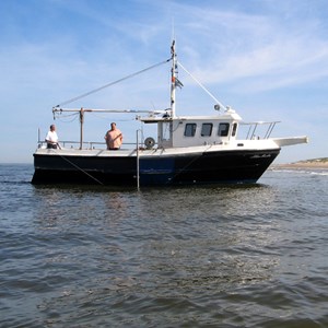 Blue Marlin II